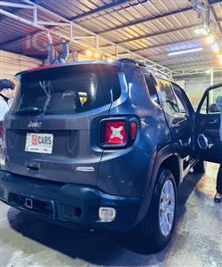 جيب رينيجيد